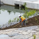 A construction worker weeding a vegetated area.