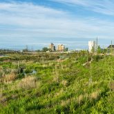 Panoramic view of a lush wetland with green foliage, water bodies, and distant industrial buildings under a clear blue sky