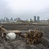 two trees on the ground next to a large boulder in a large empty field of mud. The city skyline is in the background