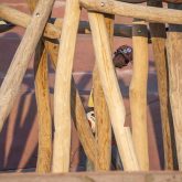 A worker standing behind a natural-looking wooden structure.