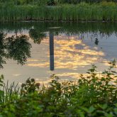 Sunset reflecting on a serene lake with grasses in the foreground and utility poles partially submerged in the water.