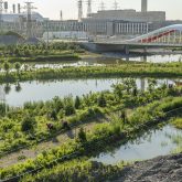 A recreational trail between the river and a wetland.