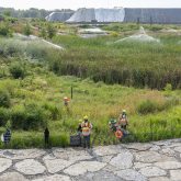 Workers standing in a green field.