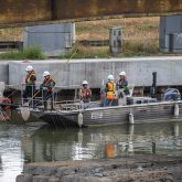 A crew electrofishing in the Keating Channel.