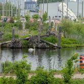 Uprooted trees along the bank of a river with industrial buildings in the background and a 'Danger Open Water' sign visible in the foreground.