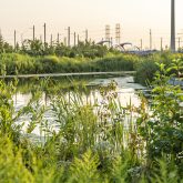 View of a serene pond with lush greenery in the foreground, with distant industrial structures and power lines in the background during a sunset.