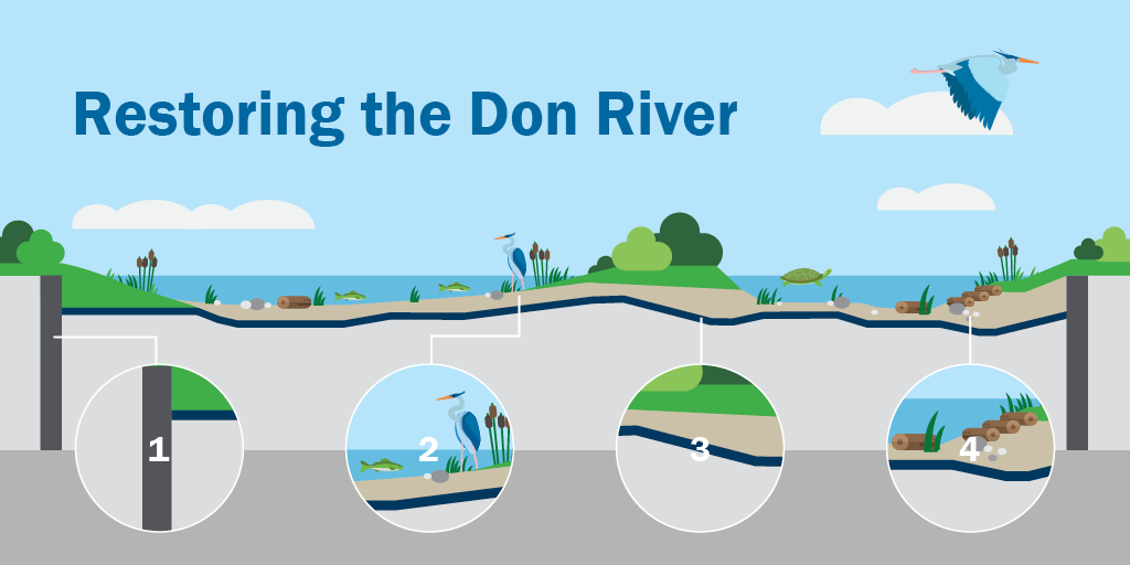 A diagram labelling four elements of restoring the Don River